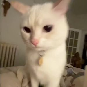 Meet your Posher, Janelle